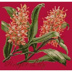 Elizabeth Bradley, Exotics, GINGER LILY - 16x16 pollici Elizabeth Bradley - 4