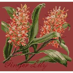 Elizabeth Bradley, Exotics, GINGER LILY - 16x16 pollici Elizabeth Bradley - 5