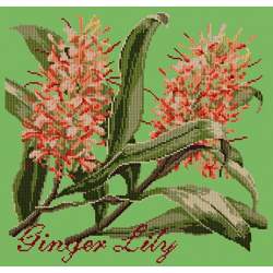 Elizabeth Bradley, Exotics, GINGER LILY - 16x16 pollici Elizabeth Bradley - 7