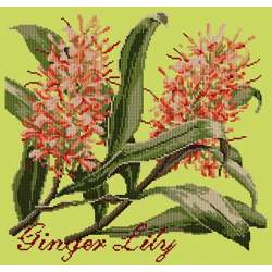 Elizabeth Bradley, Exotics, GINGER LILY - 16x16 pollici Elizabeth Bradley - 8