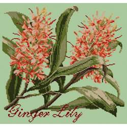 Elizabeth Bradley, Exotics, GINGER LILY - 16x16 pollici Elizabeth Bradley - 9