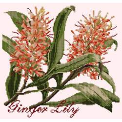 Elizabeth Bradley, Exotics, GINGER LILY - 16x16 pollici Elizabeth Bradley - 12