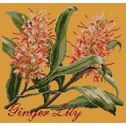 Elizabeth Bradley, Exotics, GINGER LILY - 16x16 pollici Elizabeth Bradley - 13