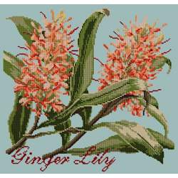 Elizabeth Bradley, Exotics, GINGER LILY - 16x16 pollici Elizabeth Bradley - 14