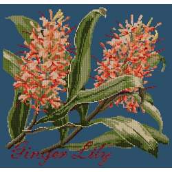 Elizabeth Bradley, Exotics, GINGER LILY - 16x16 pollici Elizabeth Bradley - 16