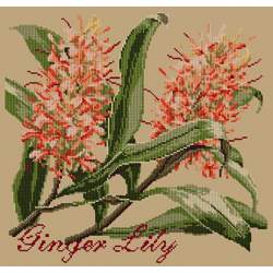 Elizabeth Bradley, Exotics, GINGER LILY - 16x16 pollici Elizabeth Bradley - 17