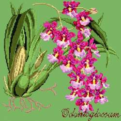 Elizabeth Bradley, Exotics, ODONTOGLOSSUM - 16x16 pollici Elizabeth Bradley - 7