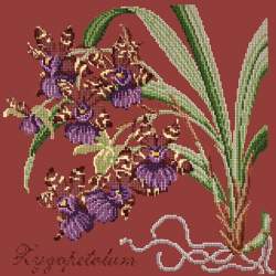 Elizabeth Bradley, Exotics, ZYGOPETALUM - 16x16 pollici Elizabeth Bradley - 5