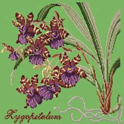 Elizabeth Bradley, Exotics, ZYGOPETALUM - 16x16 pollici Elizabeth Bradley - 7