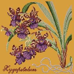 Elizabeth Bradley, Exotics, ZYGOPETALUM - 16x16 pollici Elizabeth Bradley - 13