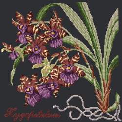 Elizabeth Bradley, Exotics, ZYGOPETALUM - 16x16 pollici Elizabeth Bradley - 18