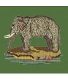 Elizabeth Bradley, Victorian Animals, THE ELEPHANT - 16x16 pollici Elizabeth Bradley - 4