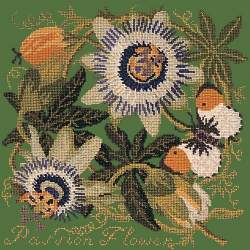 Elizabeth Bradley, Climbing Flower, PASSION FLOWER - 16x16 pollici Elizabeth Bradley - 6