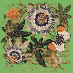 Elizabeth Bradley, Climbing Flower, PASSION FLOWER - 16x16 pollici Elizabeth Bradley - 7