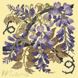 Elizabeth Bradley, Climbing Flower, WISTERIA - 16x16 pollici Elizabeth Bradley - 11