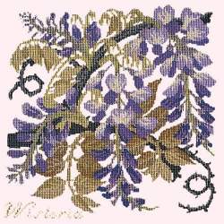 Elizabeth Bradley, Climbing Flower, WISTERIA - 16x16 pollici Elizabeth Bradley - 13