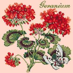 Elizabeth Bradley, Cottage Garden, GERANIUM - 16x16 pollici Elizabeth Bradley - 3