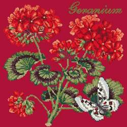 Elizabeth Bradley, Cottage Garden, GERANIUM - 16x16 pollici Elizabeth Bradley - 4