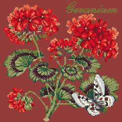 Elizabeth Bradley, Cottage Garden, GERANIUM - 16x16 pollici Elizabeth Bradley - 5