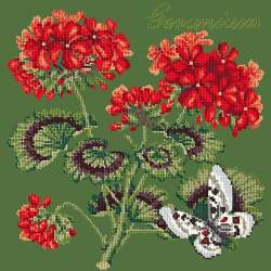 Elizabeth Bradley, Cottage Garden, GERANIUM - 16x16 pollici Elizabeth Bradley - 6