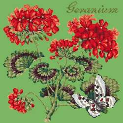 Elizabeth Bradley, Cottage Garden, GERANIUM - 16x16 pollici Elizabeth Bradley - 7