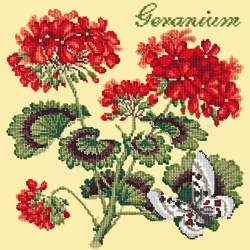 Elizabeth Bradley, Cottage Garden, GERANIUM - 16x16 pollici Elizabeth Bradley - 10