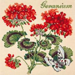 Elizabeth Bradley, Cottage Garden, GERANIUM - 16x16 pollici Elizabeth Bradley - 12