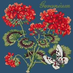 Elizabeth Bradley, Cottage Garden, GERANIUM - 16x16 pollici Elizabeth Bradley - 16