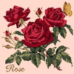 Elizabeth Bradley, Cottage Garden, ROSE - 16x16 pollici Elizabeth Bradley - 3