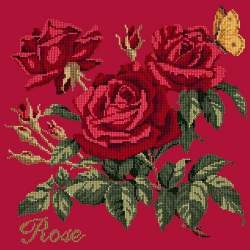 Elizabeth Bradley, Cottage Garden, ROSE - 16x16 pollici Elizabeth Bradley - 4