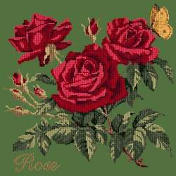 Elizabeth Bradley, Cottage Garden, ROSE - 16x16 pollici Elizabeth Bradley - 6