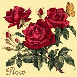 Elizabeth Bradley, Cottage Garden, ROSE - 16x16 pollici Elizabeth Bradley - 10