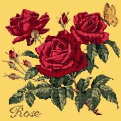 Elizabeth Bradley, Cottage Garden, ROSE - 16x16 pollici Elizabeth Bradley - 11