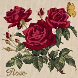 Elizabeth Bradley, Cottage Garden, ROSE - 16x16 pollici Elizabeth Bradley - 12