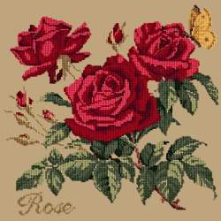 Elizabeth Bradley, Cottage Garden, ROSE - 16x16 pollici Elizabeth Bradley - 17