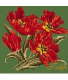 Elizabeth Bradley, Cottage Garden, TULIP - 16x16 pollici Elizabeth Bradley - 6