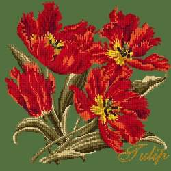 Elizabeth Bradley, Cottage Garden, TULIP - 16x16 pollici Elizabeth Bradley - 6