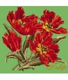 Elizabeth Bradley, Cottage Garden, TULIP - 16x16 pollici Elizabeth Bradley - 7