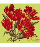 Elizabeth Bradley, Cottage Garden, TULIP - 16x16 pollici Elizabeth Bradley - 8