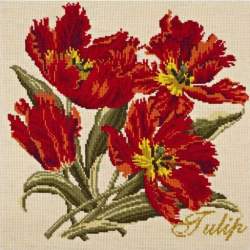 Elizabeth Bradley, Cottage Garden, TULIP - 16x16 pollici Elizabeth Bradley - 12