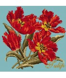 Elizabeth Bradley, Cottage Garden, TULIP - 16x16 pollici Elizabeth Bradley - 15