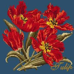 Elizabeth Bradley, Cottage Garden, TULIP - 16x16 pollici Elizabeth Bradley - 16