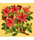 Elizabeth Bradley, Evergreens, AZALEA - 16x16 pollici Elizabeth Bradley - 11