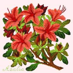 Elizabeth Bradley, Evergreens, AZALEA - 16x16 pollici Elizabeth Bradley - 12