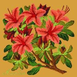 Elizabeth Bradley, Evergreens, AZALEA - 16x16 pollici Elizabeth Bradley - 13