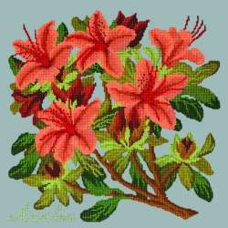 Elizabeth Bradley, Evergreens, AZALEA - 16x16 pollici Elizabeth Bradley - 14