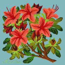 Elizabeth Bradley, Evergreens, AZALEA - 16x16 pollici Elizabeth Bradley - 15