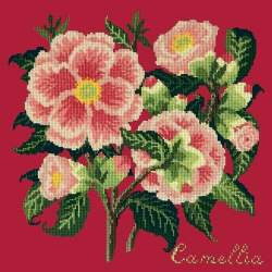 Elizabeth Bradley, Evergreens, CAMELLIA - 16x16 pollici Elizabeth Bradley - 4