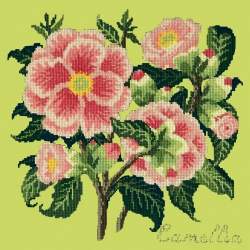 Elizabeth Bradley, Evergreens, CAMELLIA - 16x16 pollici Elizabeth Bradley - 8