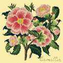 Elizabeth Bradley, Evergreens, CAMELLIA - 16x16 pollici Elizabeth Bradley - 10